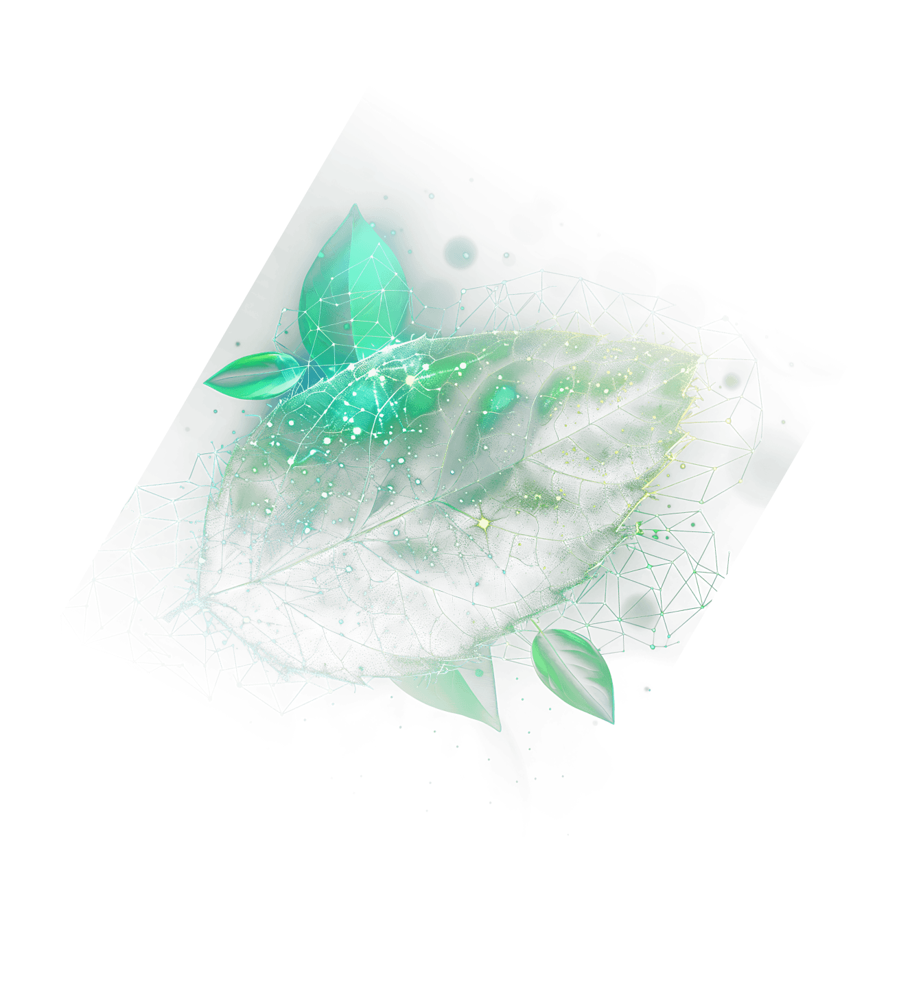 Leaf